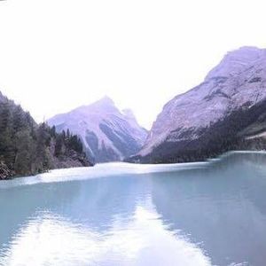 Meet your Posher, Lynn